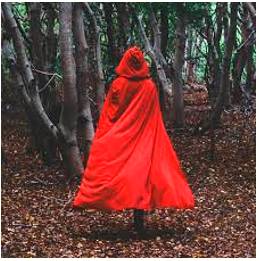Cloak  - Something serving to hide or disguise something.