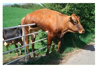 Predicament  - A difficult, unpleasant, or embarrassing situation.