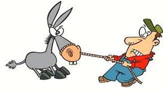 Adamant  - Refusing to be persuaded or to change one's mind.