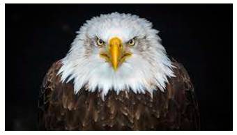 Formidable  - Inspiring fear or respect through being impressively large, powerful, intense, or capable.