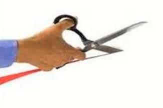 Curtail  - Reduce in extent or quantity.