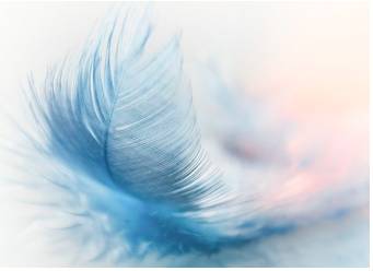 Nimble  - Quick and light in movement or action.