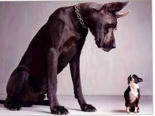 Intimidation  - The act of frightening or threatening somebody so that they will do what you want.