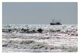 Flounder  - Be in a difficult and serious situation financiall.