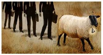 Bellwether  - Something that leads or indicates a trend.