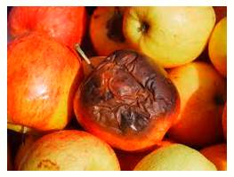 Mar  - Impair the quality or appearance of.
