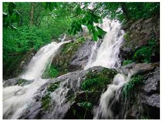 Cascade  - Fall or hang in copious quantities.