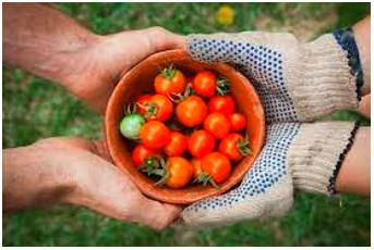 Generous  - (of a thing) larger or more plentiful than is usual or necessary.