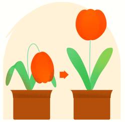 Rekindle  - Revive (something lost or lapsed).