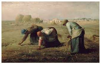 Glean  - Obtain (information) from various sources, often with difficulty.