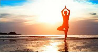 Panacea  - A solution or remedy for all difficulties or diseases.