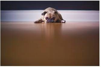 Reluctant  - Unwilling and hesitant.