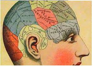 Highbrow  - Intellectual or rarefied in taste.
