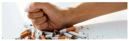 Cessation  - The fact or process of ending or being brought to an end.