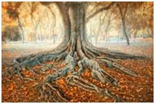 Ingrained  - (of a habit, an attitude, etc.) that has existed for a long time and is therefore difficult to change.