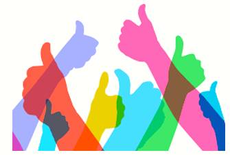 Endorse  - Declare one's public approval or support of.