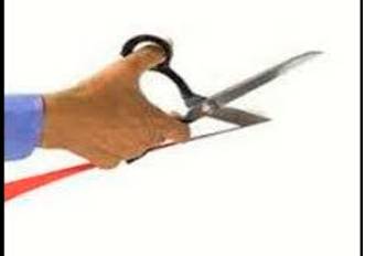Curtail  - Reduce in extent or quantity.