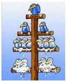 Pecking order  - A hierarchy of status seen among members of a group of people or animals, originally as observed among hens.