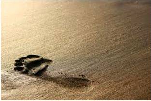 Ephemeral  - Lasting for a very short time.