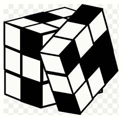 Enigma  - A person or thing that is mysterious or difficult to understand.