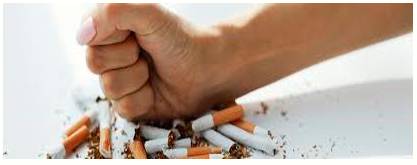 Cessation  - The fact or process of ending or being brought to an end.