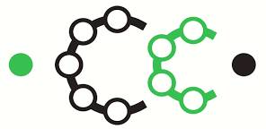 Catena  - A connected series or chain.