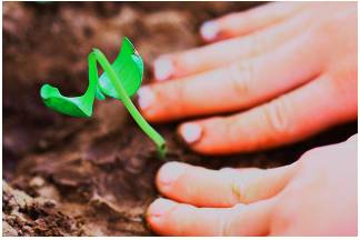 Nurture  - To help somebody/something to develop and be successful.