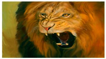 Ferocity  - The state or quality of being ferocious.