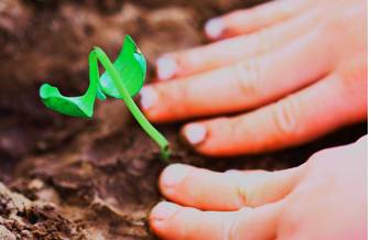 Foster  - To help somebody/something to develop and be successful.