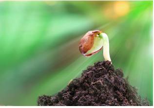 Nascent  - Only recently formed or started, but likely to grow larger quickly.