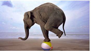 Volatility  - The quality or state of being likely to change suddenly.