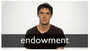 Endowment  - a quality or ability possessed or inherited by someone.