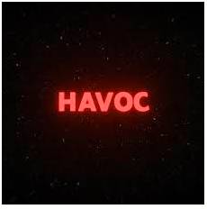 Havoc  - A situation in which things are seriously damaged, destroyed or very confused.