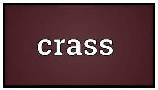 Crass - Very stupid and showing no sympathy or understanding.