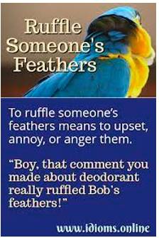 Ruffle feathers - To upset, annoy and anger someone.