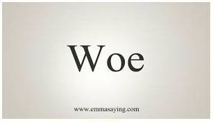 Woe   - The troubles and problems that somebody has.