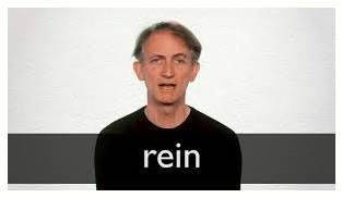 Rein  - To take control.