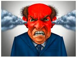 Wrath  - Extreme anger.