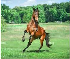 Unbridled  - Lacking control and therefore extreme.
