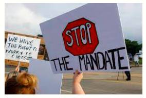 Mandate  - The authority to do something, given to a government or other organization by the people who vote for it in an election.