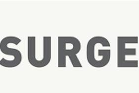 Surge  - A sudden increase of a strong feeling.