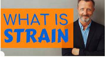 Strain  - Pressure on a system or relationship because great demands are being placed on it.