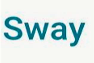 Sway  - To persuade somebody to believe something or do something.