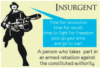 Insurgent - Fighting against the government or armed forces of their own country.