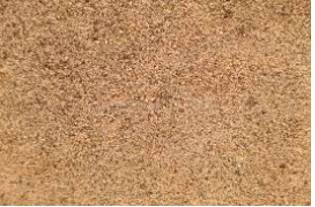 Granular  - Consisting of small granules.