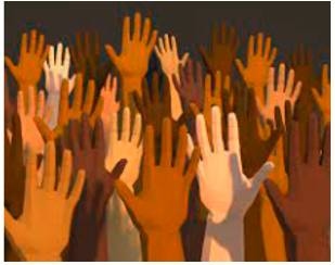 Diverse  - Very different from each other and of various kinds.