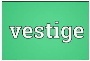 Vestige  - A small part of something that still exists after the rest of it has stopped existing.
