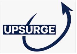 Upsurge  - A sudden large increase in something.