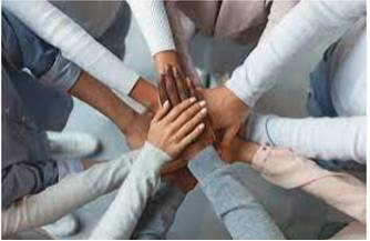 Diverse  - Very different from each other and of various kinds.