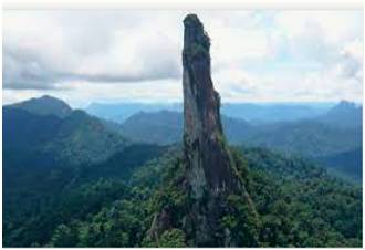 Pinnacle  - The most important or successful part of something.